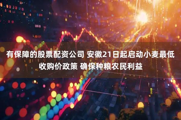 有保障的股票配资公司 安徽21日起启动小麦最低收购价政策 确保种粮农民利益