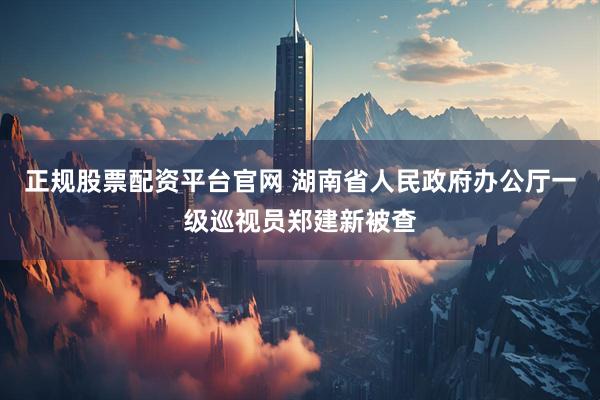正规股票配资平台官网 湖南省人民政府办公厅一级巡视员郑建新被查