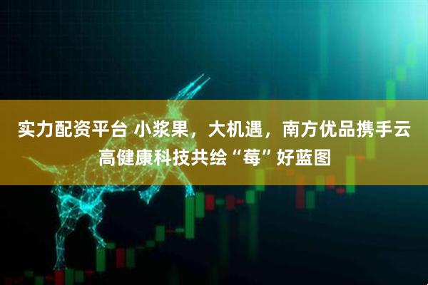 实力配资平台 小浆果，大机遇，南方优品携手云高健康科技共绘“莓”好蓝图