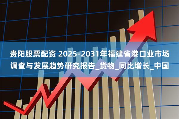 贵阳股票配资 2025-2031年福建省港口业市场调查与发展趋势研究报告_货物_同比增长_中国