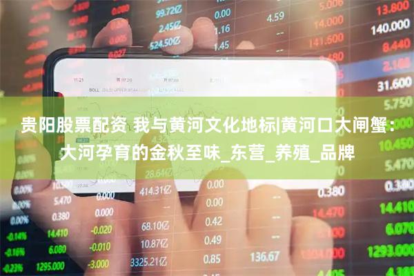 贵阳股票配资 我与黄河文化地标|黄河口大闸蟹：大河孕育的金秋至味_东营_养殖_品牌