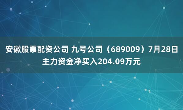 安徽股票配资公司 九号公司（689009）7月28日主力资金净买入204.09万元
